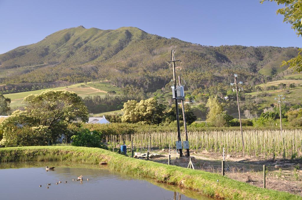 Dunstone Country House Wellington Buitenkant foto