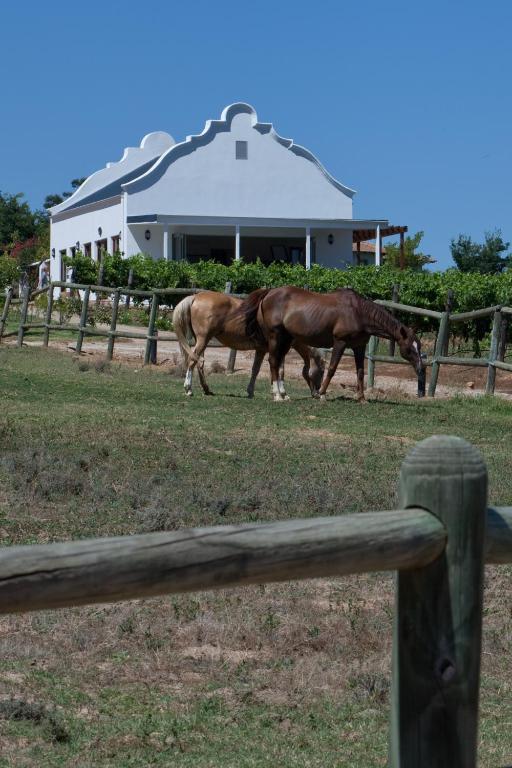 Dunstone Country House Wellington Buitenkant foto